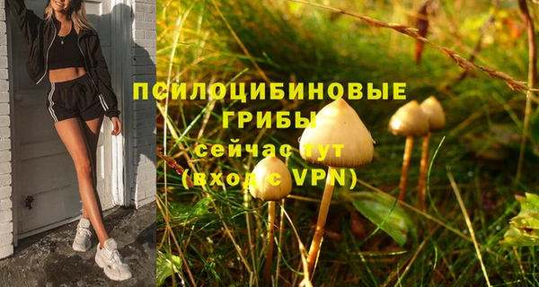 молекула духа Абинск