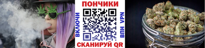 Бошки марихуана индика  купить наркотик  Алагир 